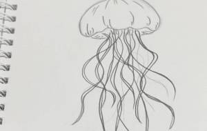 クラゲ - akur 