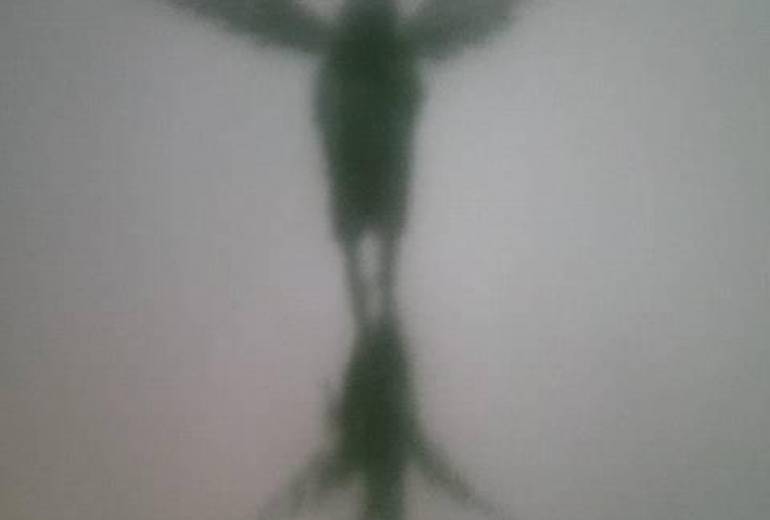 母さん認知症なんか怖くないよ、大丈夫だよ幸せの翼で飛べるよ母さん恐れないで、幸せになっていいんだよ