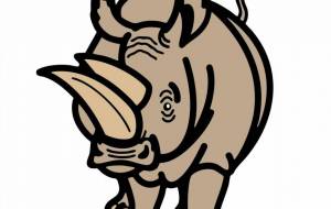 キタシロサイ - シマハイエナ 