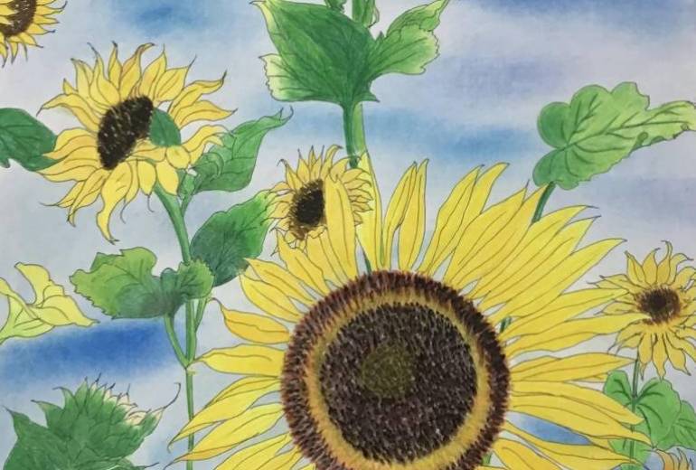 夏空のひまわり