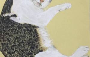 リラックスしている猫 - 赤﨑ゆみ子 