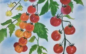 ミニトマト - 赤﨑ゆみ子 