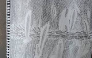 涼の思い出 - ホワイトエンジェル 