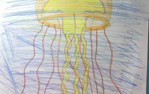 パシフィックシーネットル - 海牛ひろんぱ 