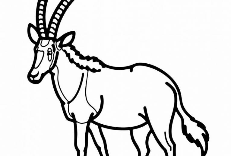 シロオリックス - シマハイエナ 