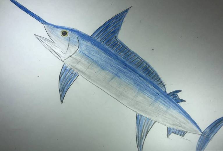 メカジキ - 住田ヒロンパ 