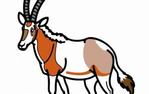 シロオリックス - シマハイエナ 