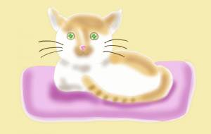 のんびり猫 - 神楽月すう