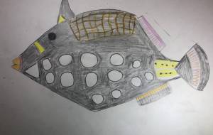 モンガラハギ - 海牛ひろんぱ 