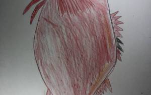 キンキ - 海牛ひろんぱ 