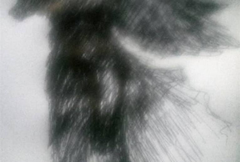 我、翼の獣 - 真鍋哲地 