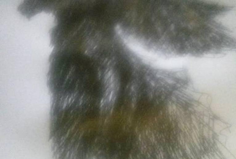 我、一角の獣 翼の化け物 - 真鍋哲地 