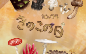 10月15日はきのこの日 - みかずき海月