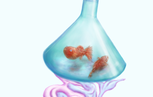 Mr.フラスコ金魚 -  