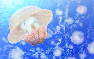 水母懐遊 -Suibo Kaiyuu- - みかずき海月 