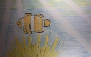 カクレクマノミとイソギンチャク - 海牛ひろんぱ 