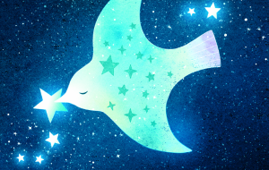 星を運ぶ鳥 - 羊子 
