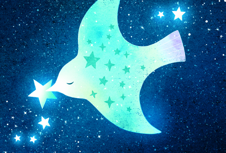 星を運ぶ鳥
