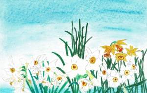 水仙の花 - 赤﨑ゆみ子 