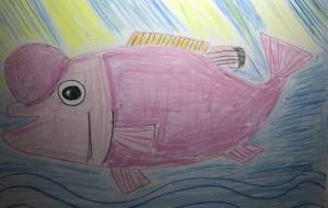 ニコニココブダイ - 海牛ひろんぱ 