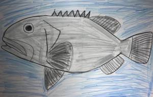 巨大魚タマカイ - 海牛ひろんぱ 