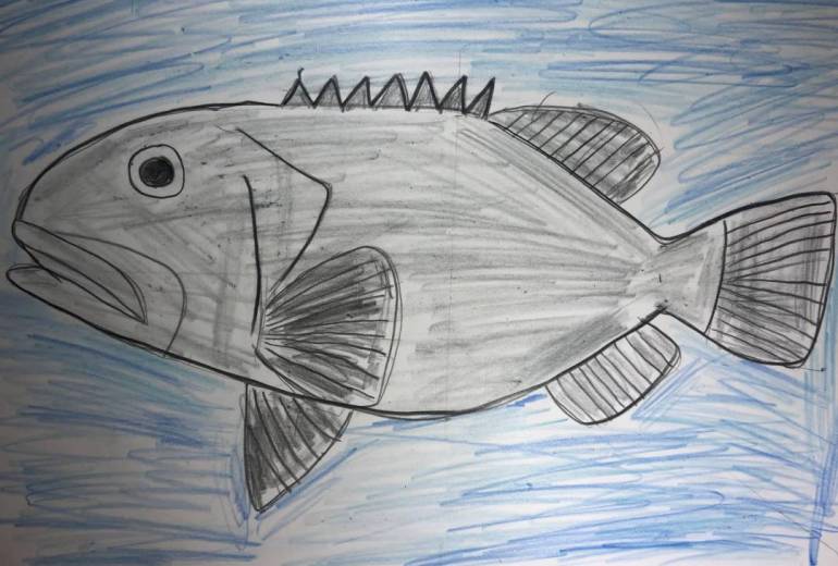 巨大魚タマカイ