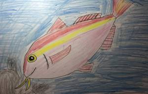 ちょこちょこウミヒゴイ - 海牛ひろんぱ 