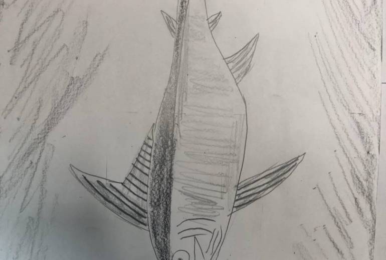 カジキ釣り