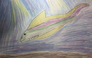 史上古代の魚類ミロクンミンギア - 海牛ひろんぱ 