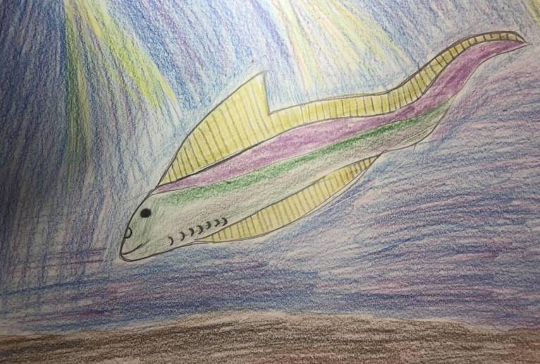 史上古代の魚類ミロクンミンギア - 海牛ひろんぱ 