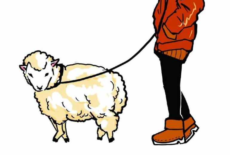 Year of the Sheep