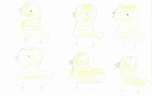 大人の鳥さん - バニ 