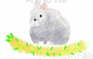 のんびりするのは良い事だ - 柳亜希 