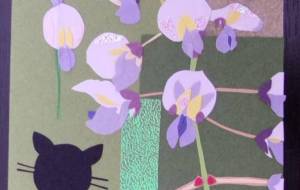 花場猫 藤の花 - 明紅葉
