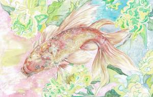 金魚 - HIDE 