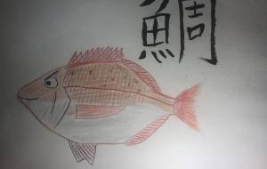 元気なタイ - 海牛ひろんぱ