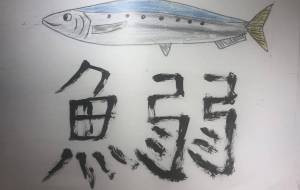 明るいイワシ - 海牛ひろんぱ 