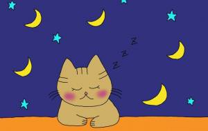 sleep - Junna
