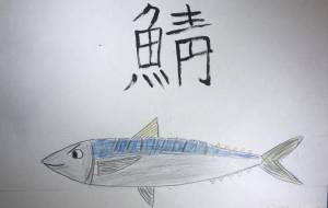 さばサバ鯖 - 海牛ひろんぱ