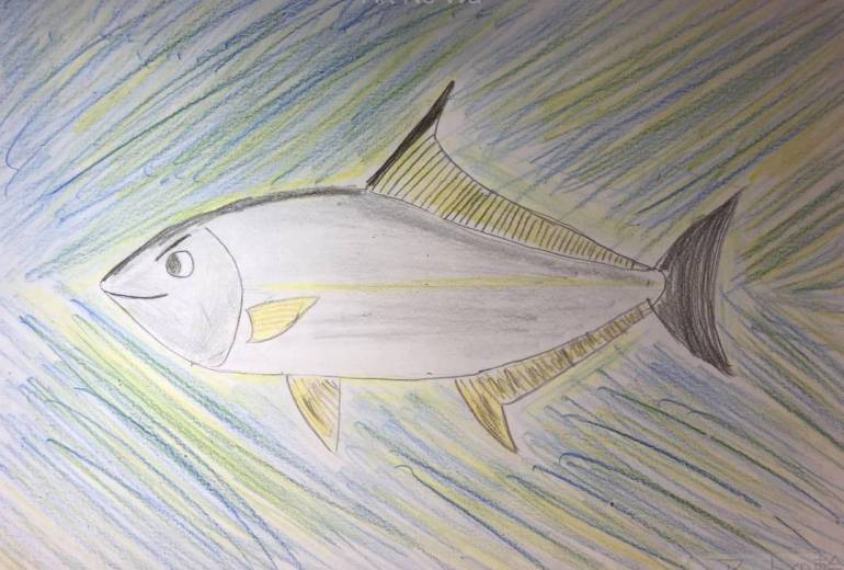 ヒレナガカンパチの魚突猛進