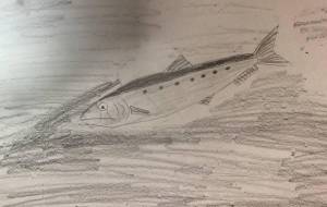 集団から逃げ出したイワシの気持ち考えたことありますか？ - 海牛ひろんぱ 