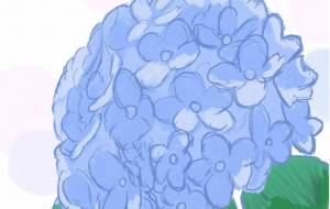 紫陽花描いてみた - ユイ 