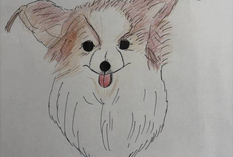犬