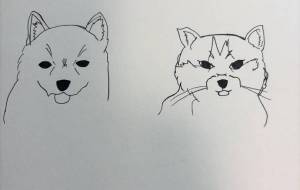 柴犬と猫 - 美帆