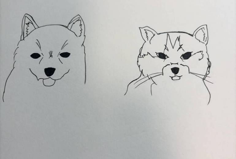 柴犬と猫