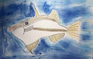 カワハギじゃないよヨソギだよ - 海牛ひろんぱ 