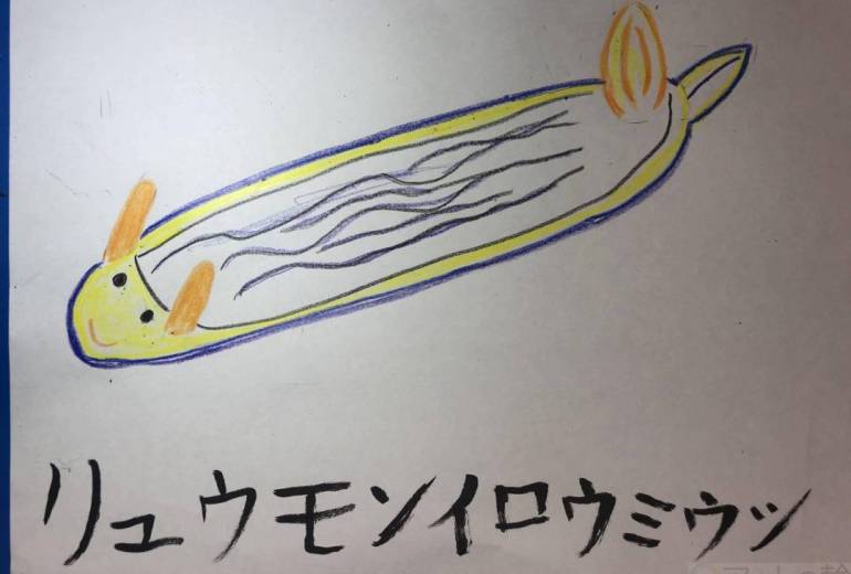 リュウモンイロウミウシ
