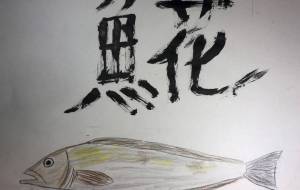 ほんわかホッケ - 海牛ひろんぱ 