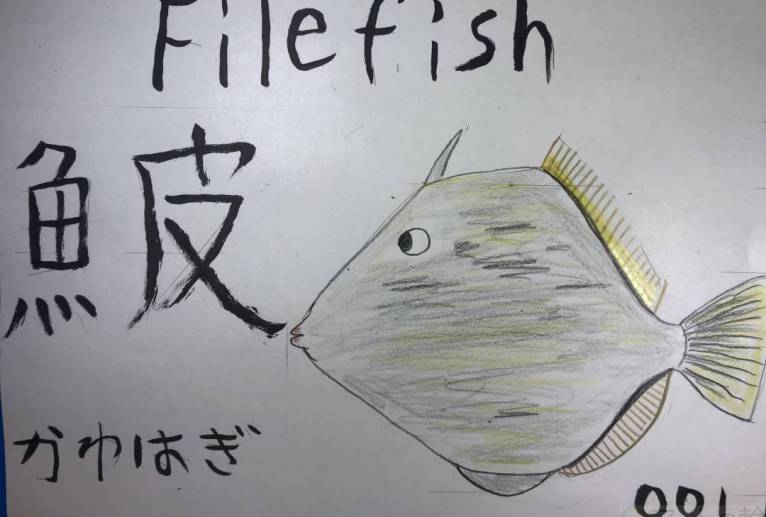 魚ファイル001カワハギ - 海牛ひろんぱ 