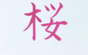 桜 - hikari 
